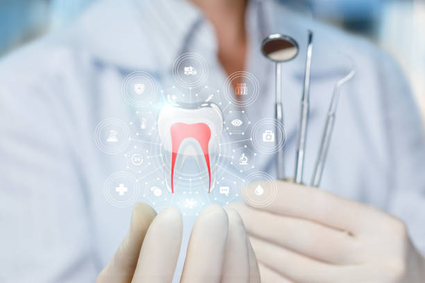 Professional Dental Services in Jefferson, LA